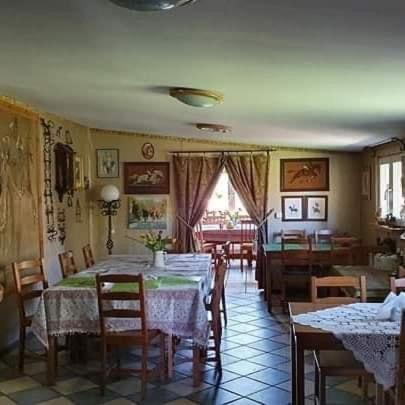 Paw-puszcza Kampinowska *