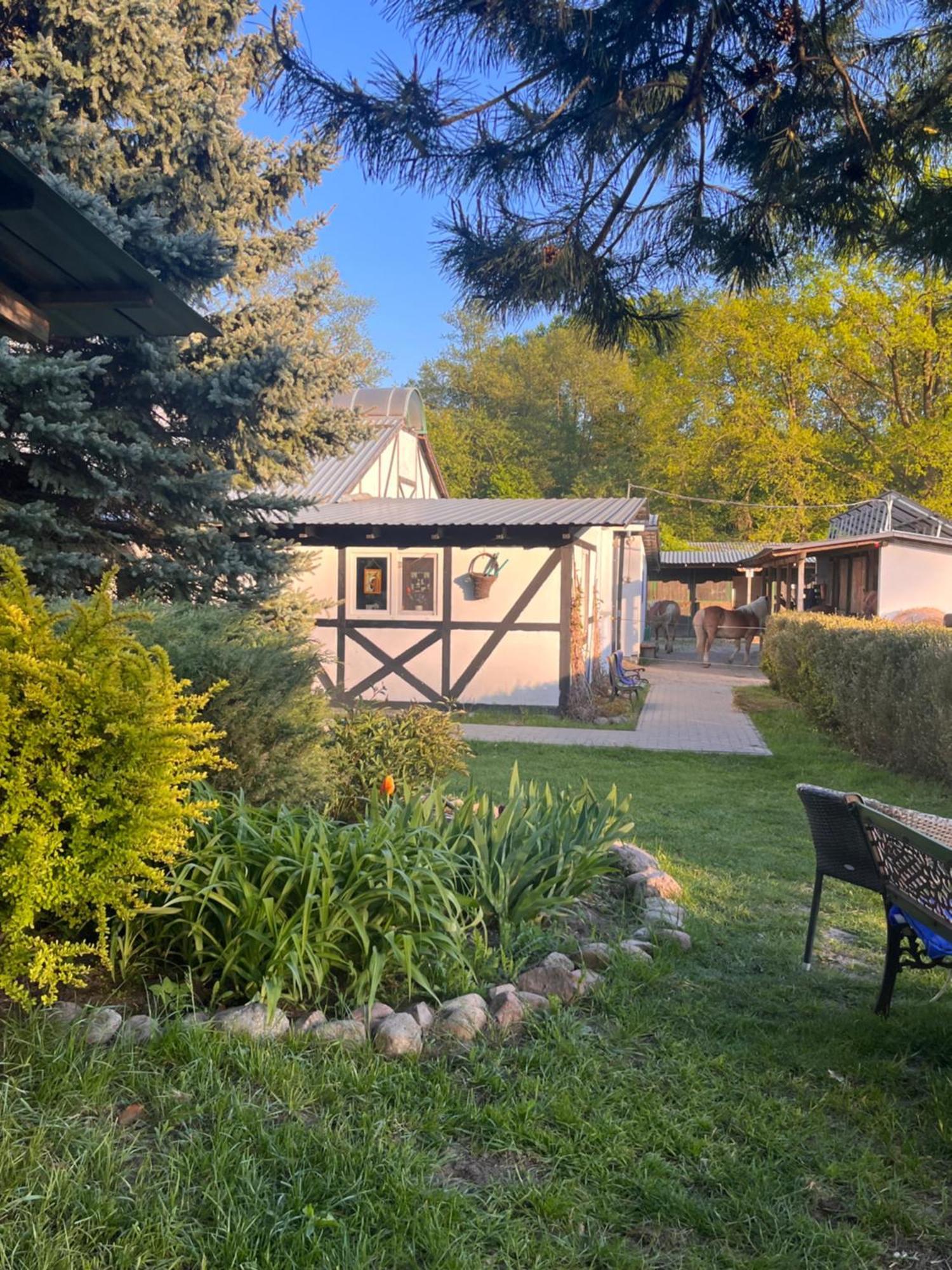 Farm stay Paw-puszcza Kampinowska *